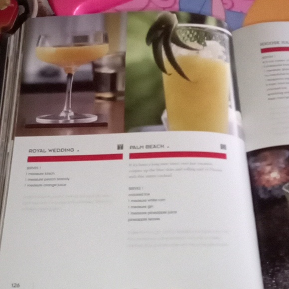 The Bartender's Guide- Paragon Books Ltd. 2008 - Picture 15 of 17